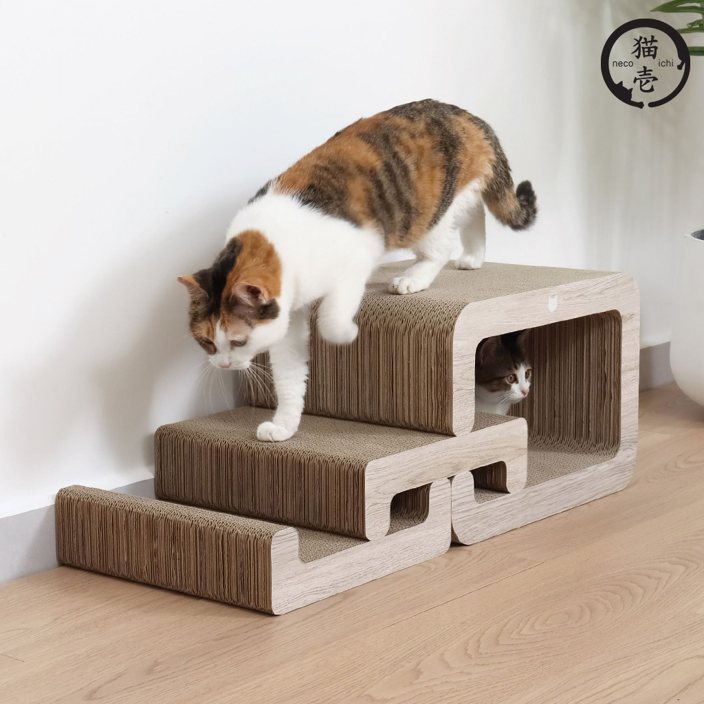 貓壹 抓抓貓階梯