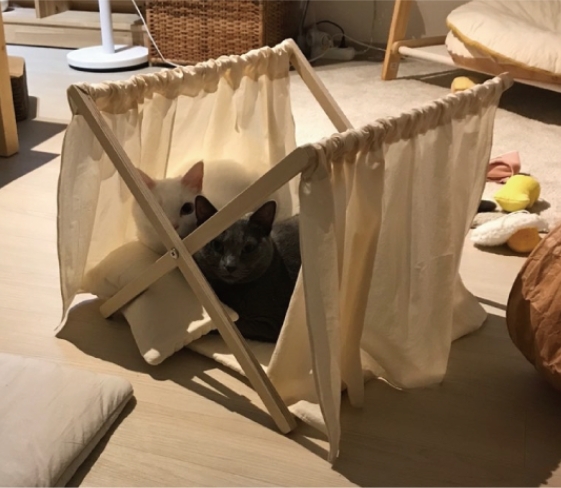 gottagohome．秘密基地