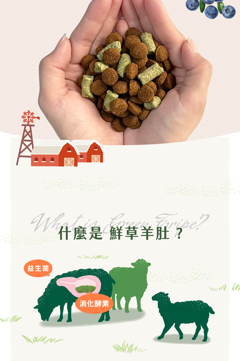 羊肚凍乾99%含肉量，紐西蘭製作，天然的消化酵素，幫助腸胃消化健康