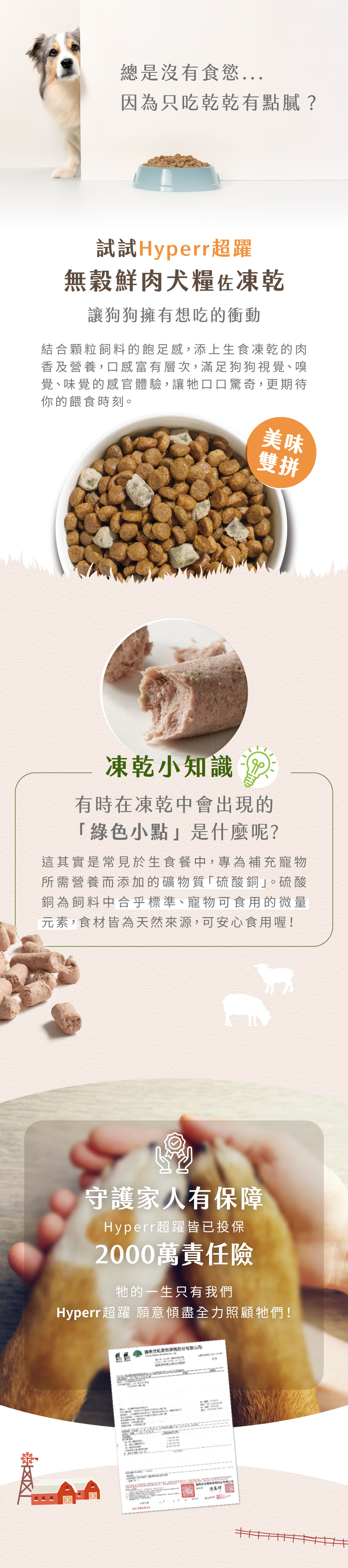 美味雙拼，增加狗狗想吃的意願！