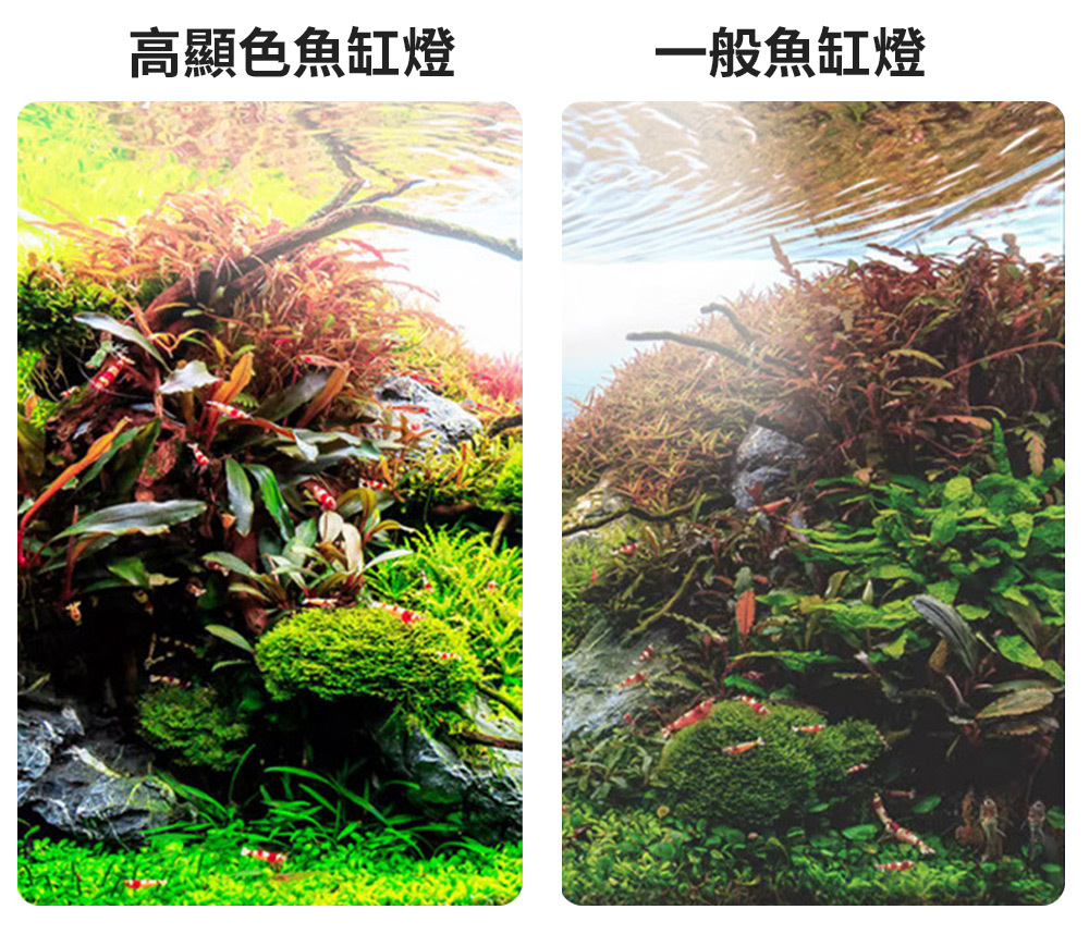 高亮度LED模擬自然陽光，讓魚隻與水草展現最佳色澤，營造舒適水族環境