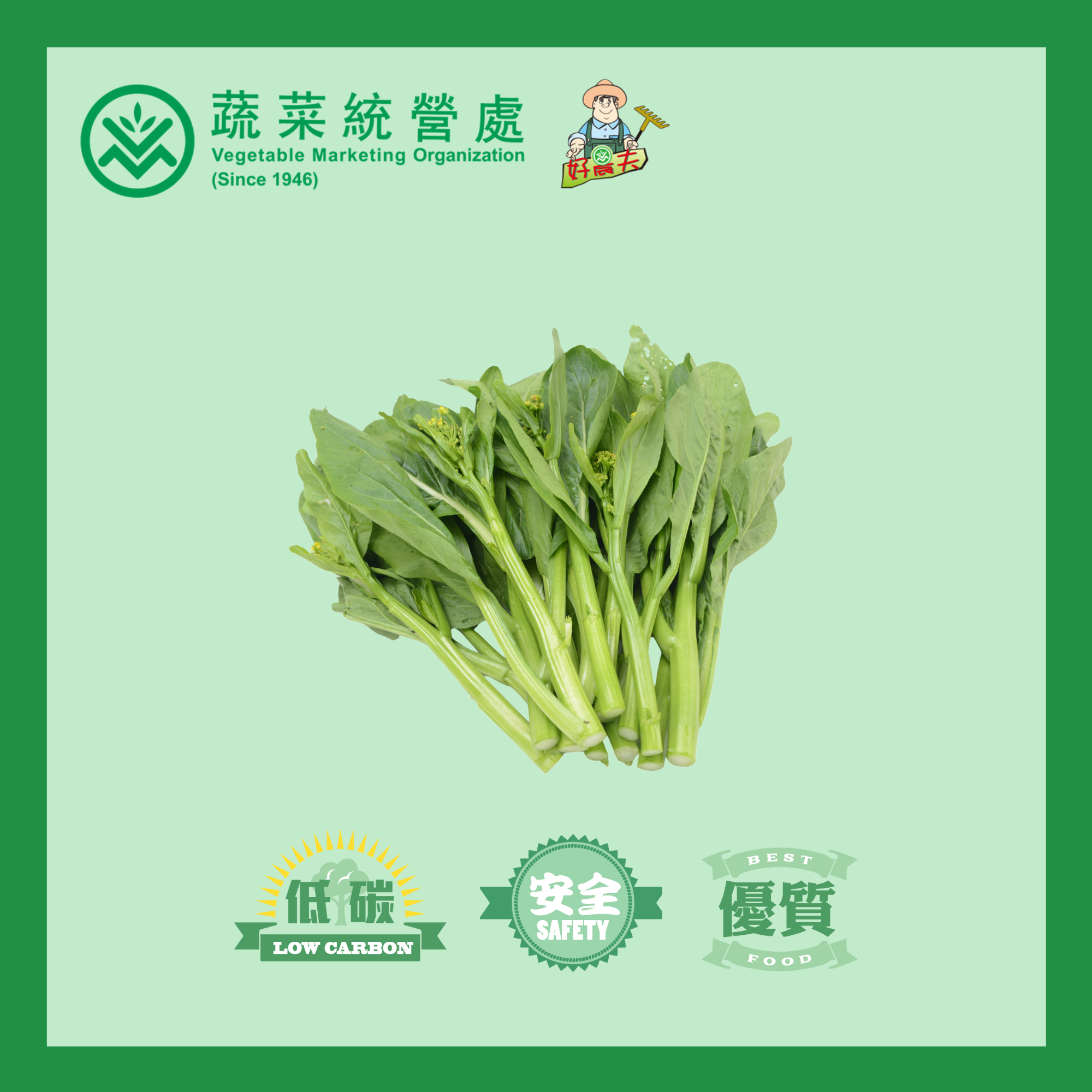 Local Accredited Choi Sum (CATTY)