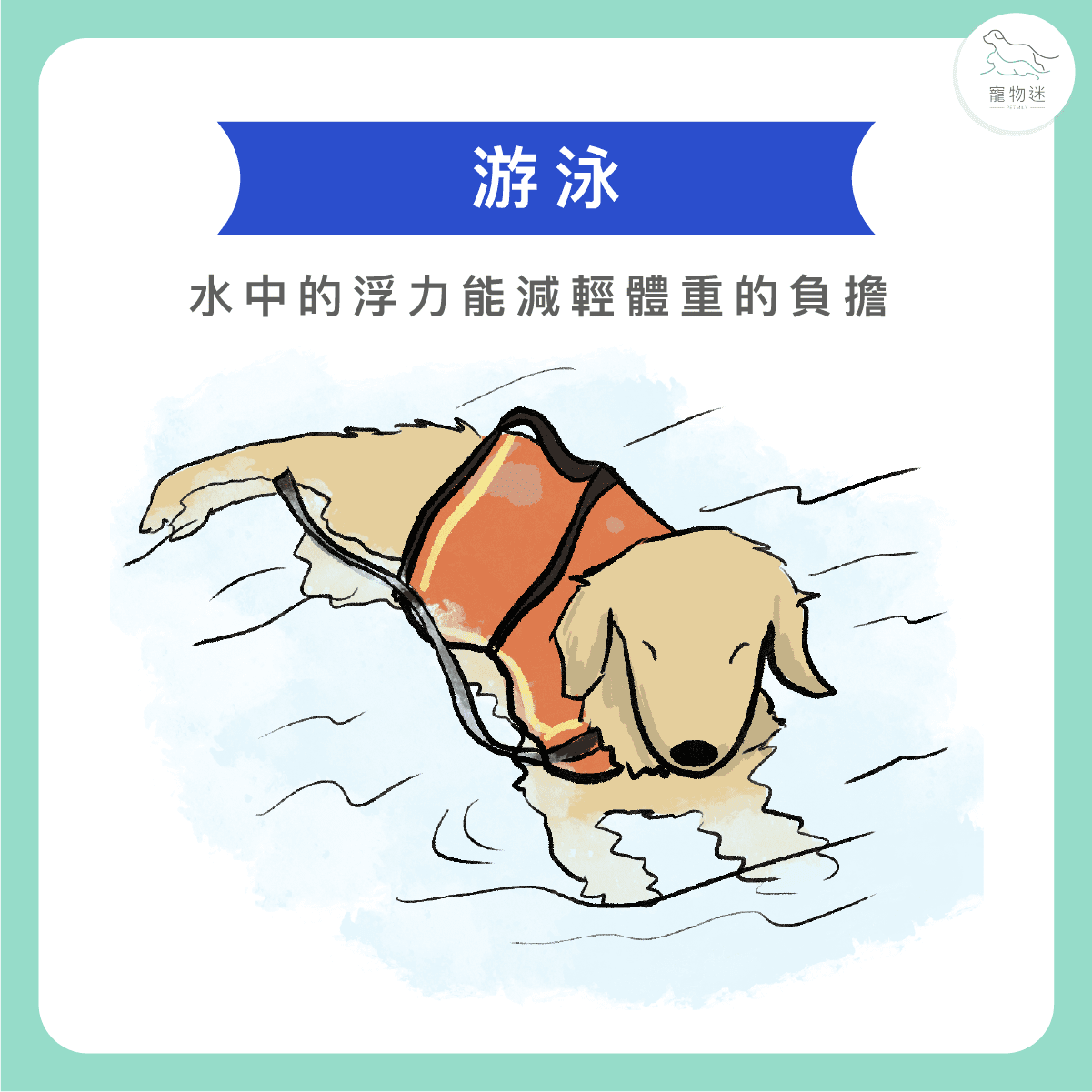 游泳：低衝擊又有肌力訓練效果