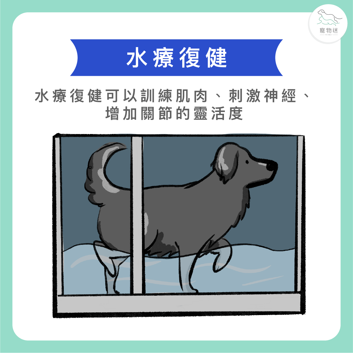水中復健（Hydrotherapy）