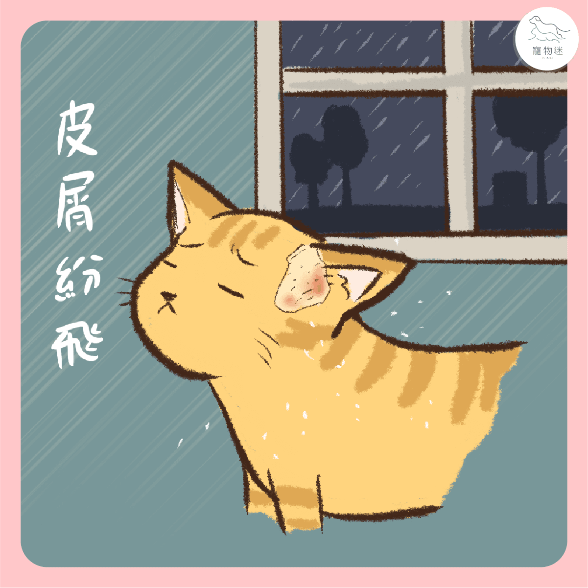 貓咪黴菌的季節