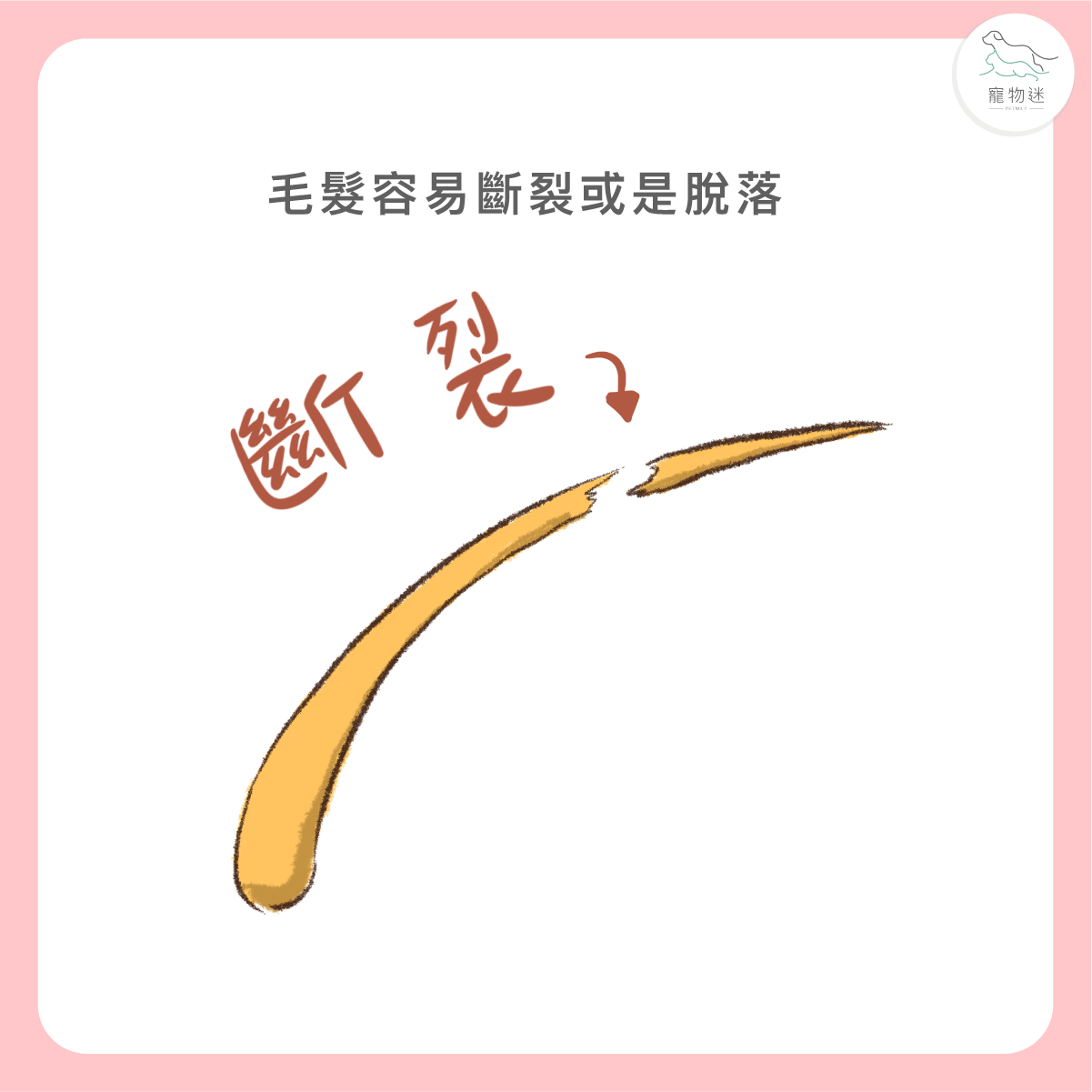 毛髮變得容易斷裂或掉落