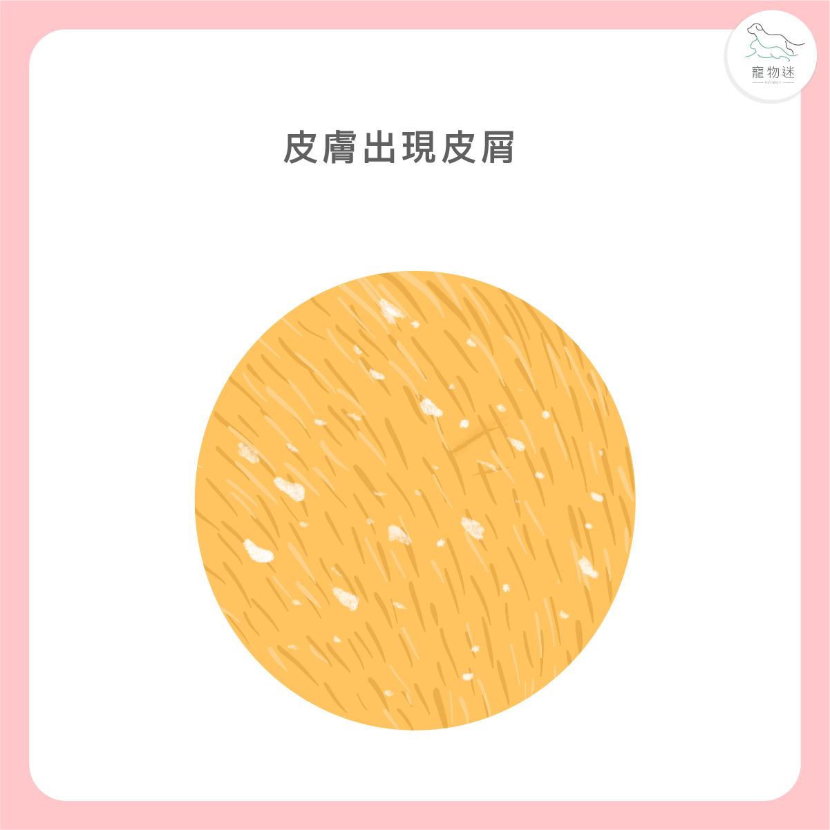 皮屑增多，像是頭皮屑一樣分布在毛根處
