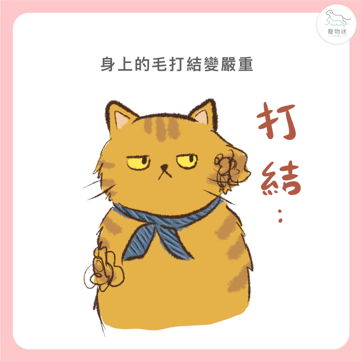 毛髮變得打結難梳理