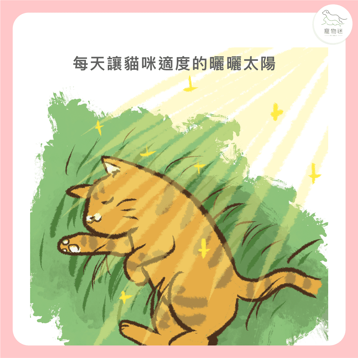 每天讓牠曬曬太陽，有助於維持皮膚健康