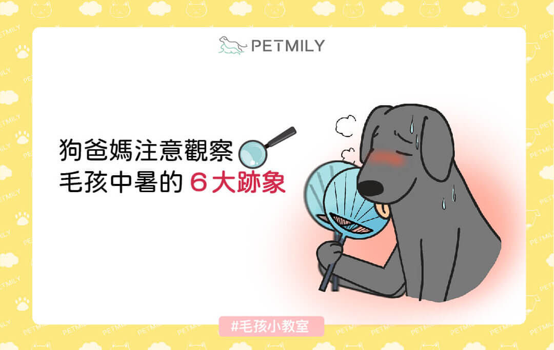 狗爸媽注意觀察，毛孩中暑的6大跡象