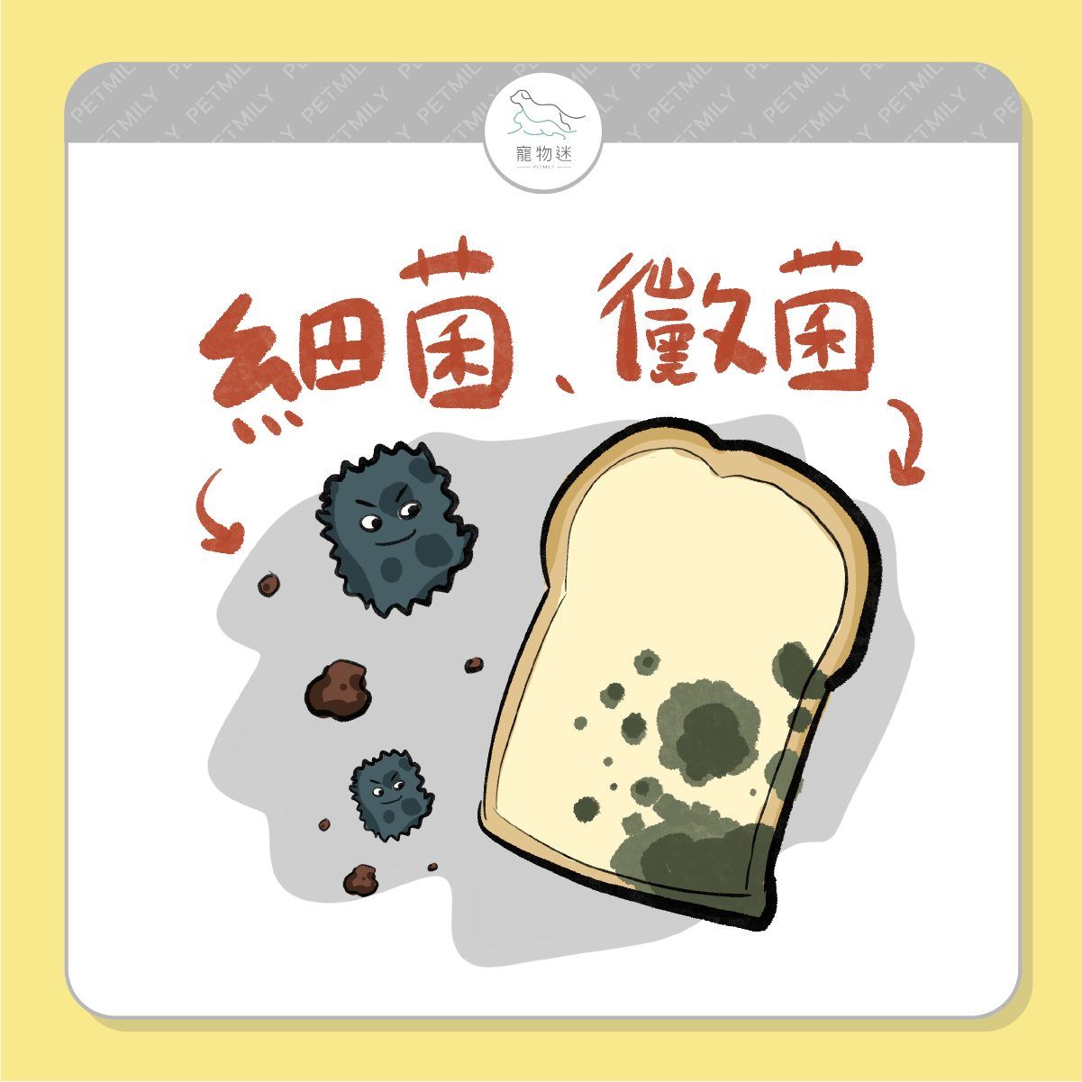濕熱環境導致皮膚狀態不穩