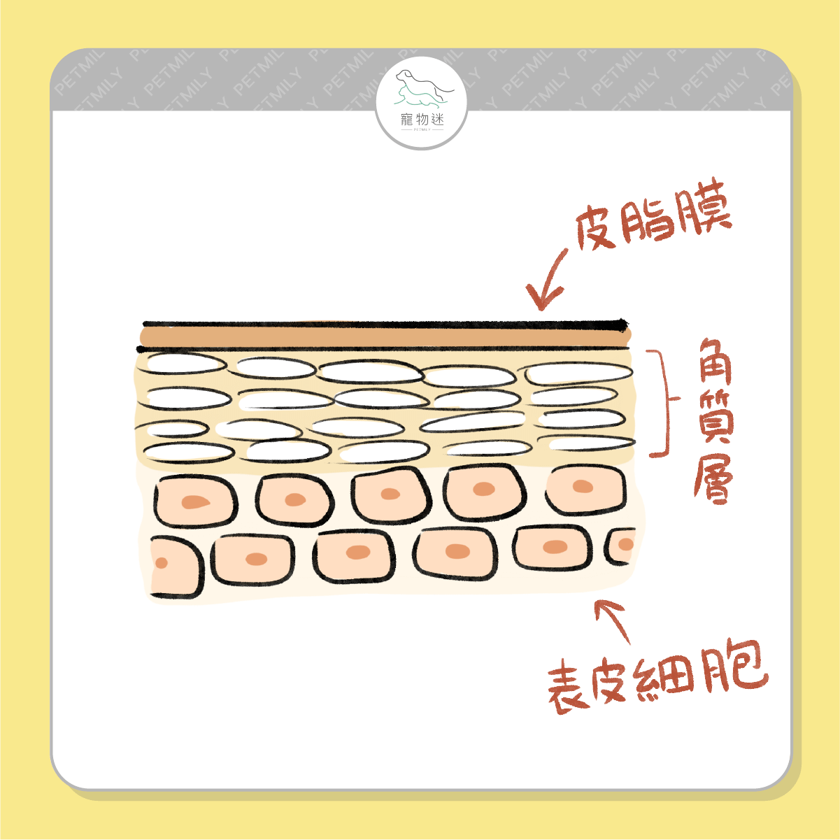 洗太勤也不行！皮脂膜受損