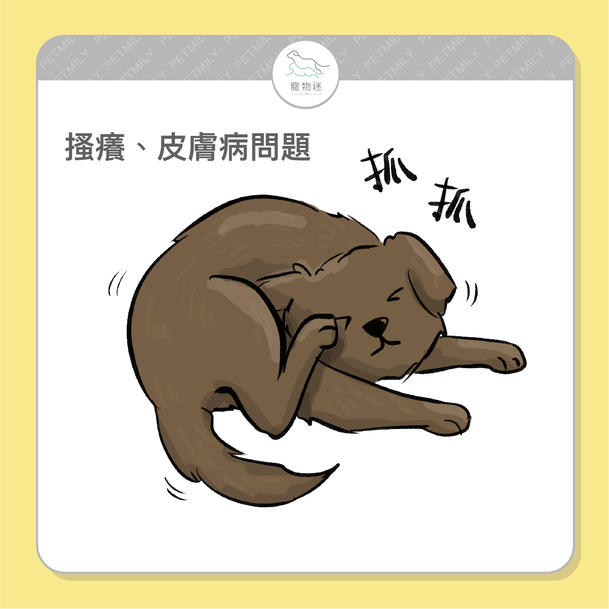 搔癢皮膚病問題