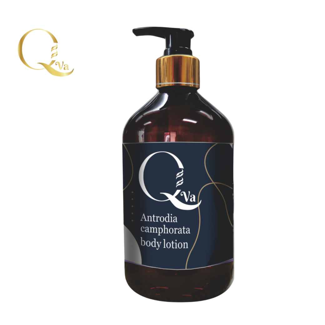 QVA頂級牛樟精油精華液500ml  1入