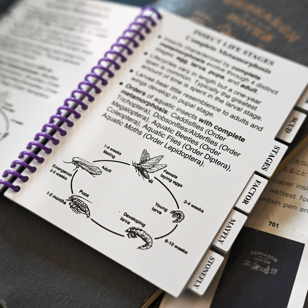 Pocket Guide 如何溪釣鱒魚 隨身書