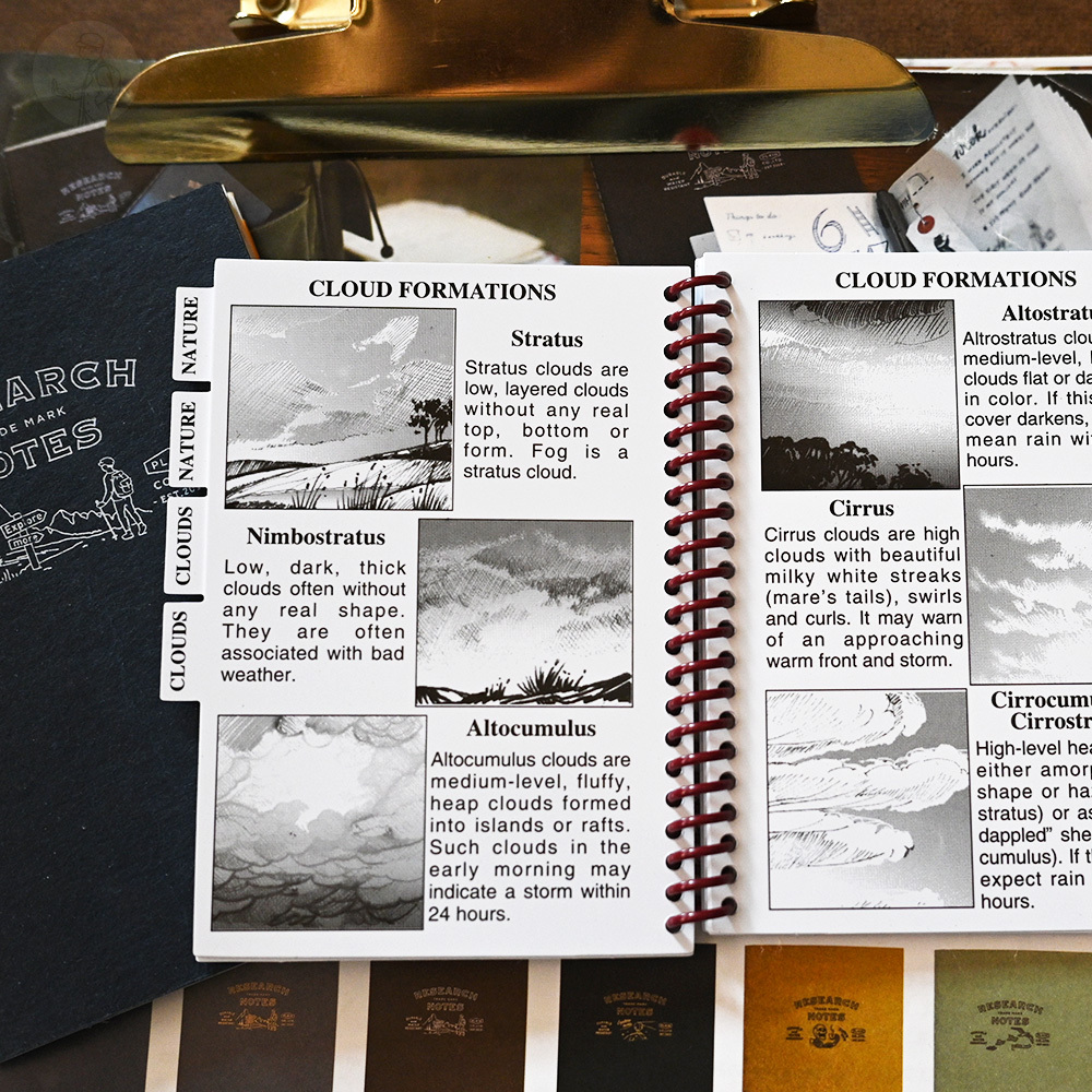 Pocket Guide 氣侯觀測 隨身書