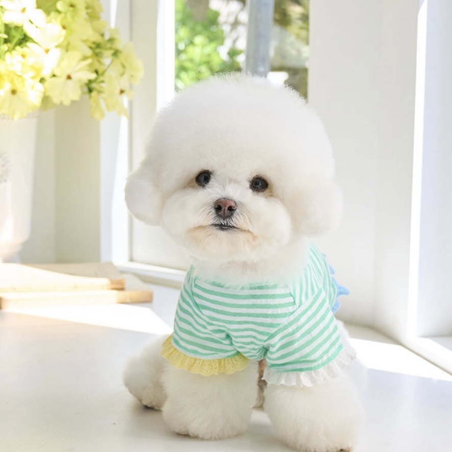 Daisy 雛菊條紋蕾絲 T-shirt｜Mint 薄荷- It’s sunny outside