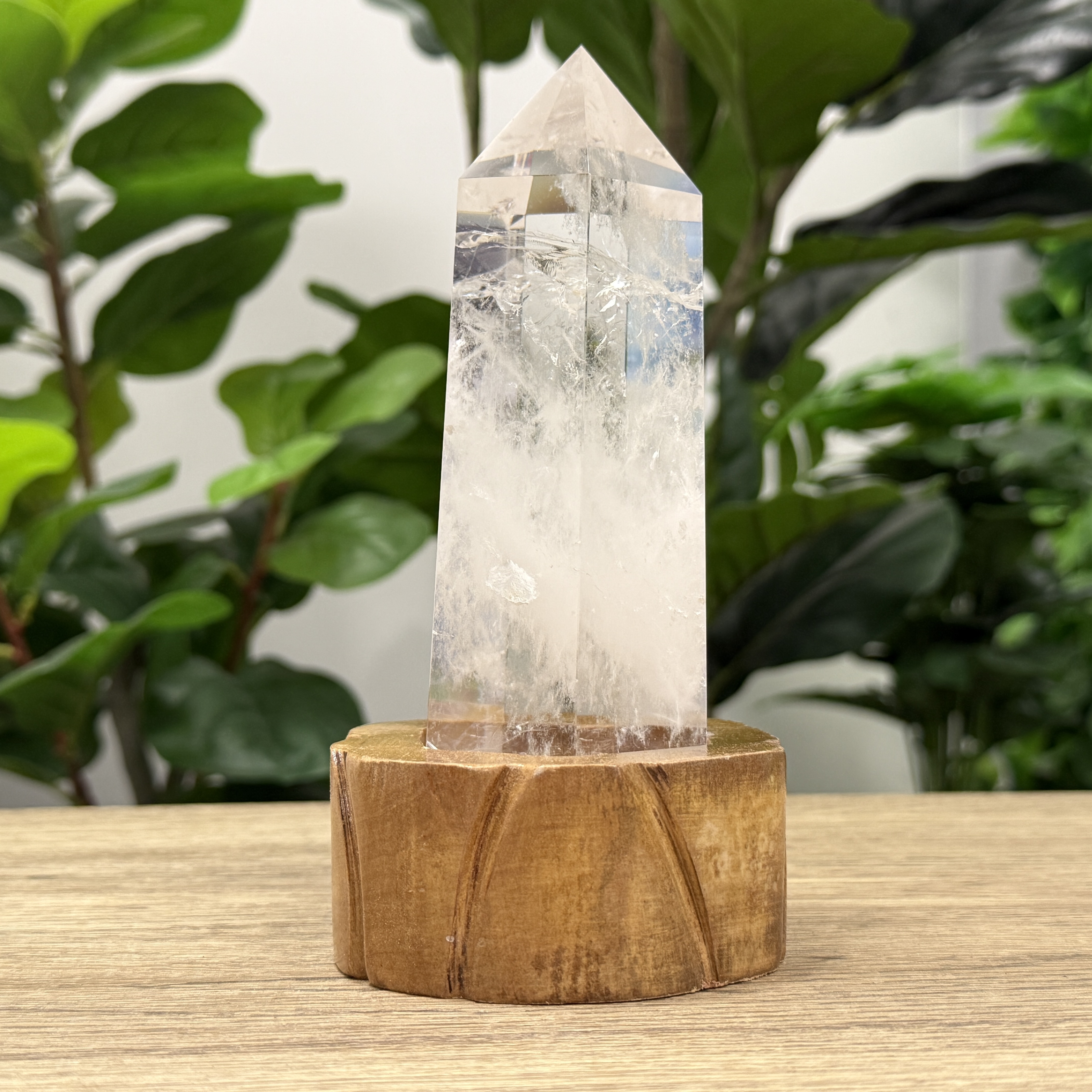 白晶柱 手圍17.5以上 WD2022