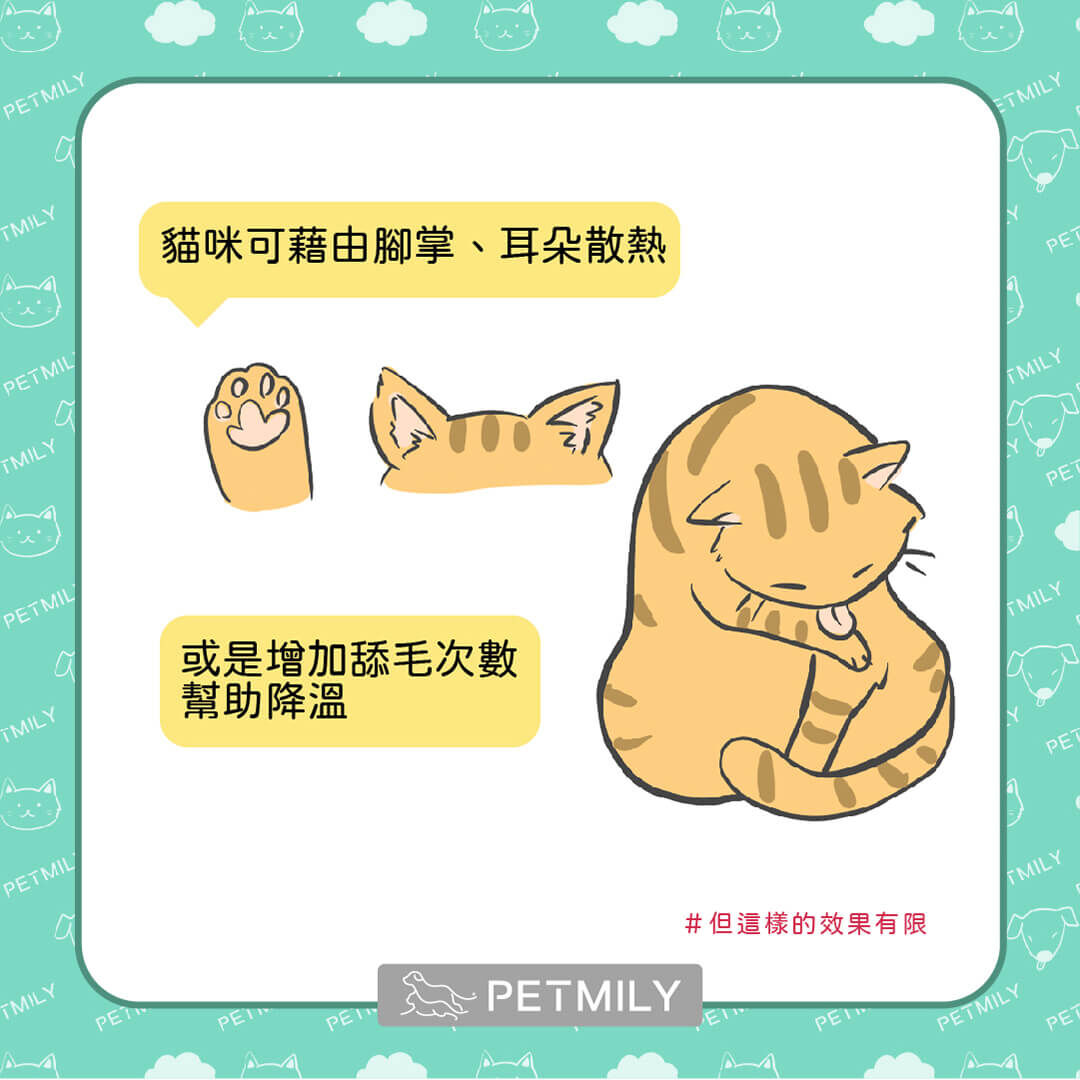 貓咪怎麼散熱