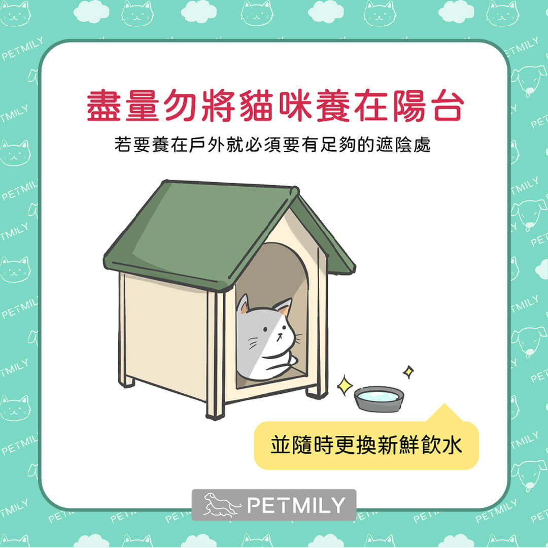 避免將貓養在戶外陽台