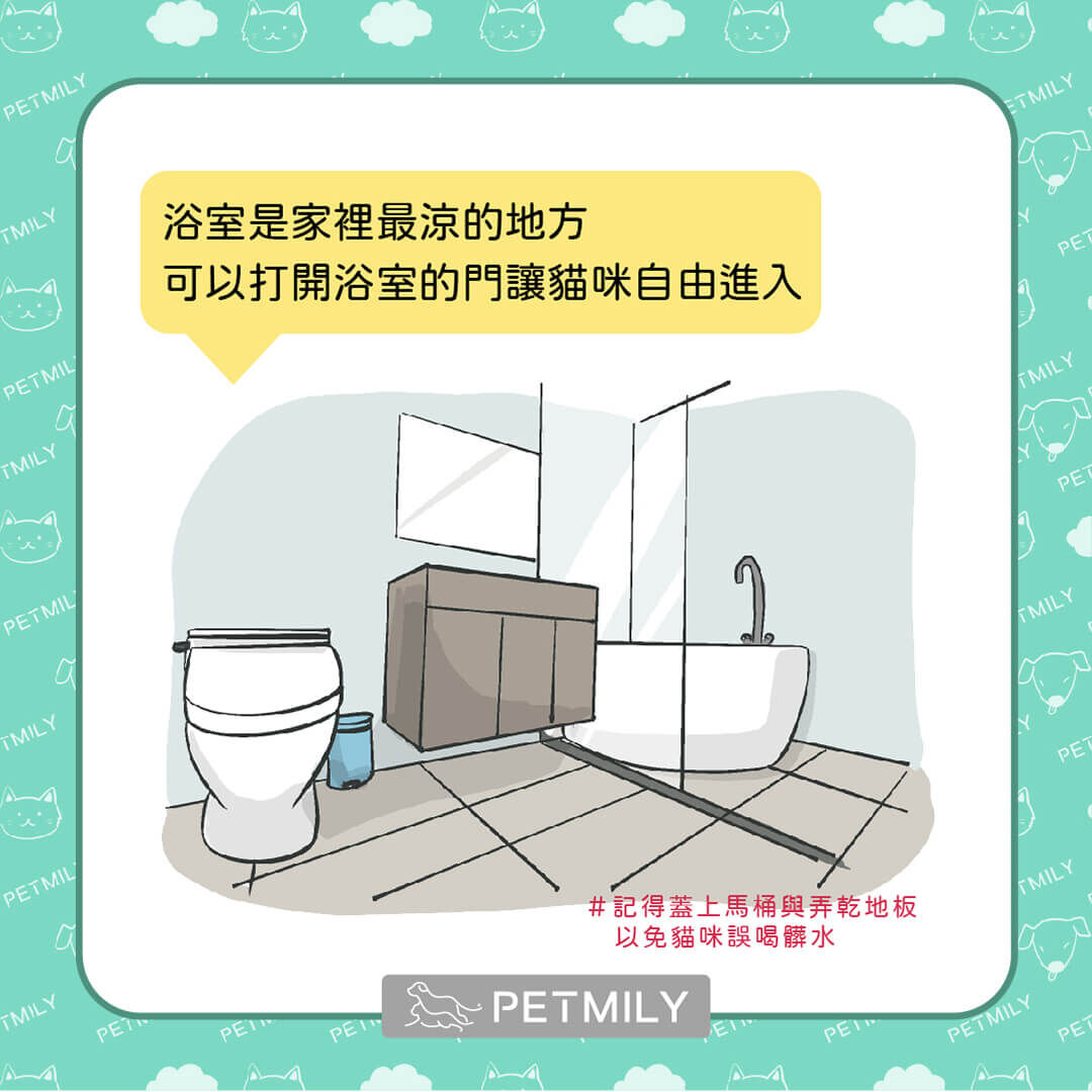 開放浴室門讓貓自由進出