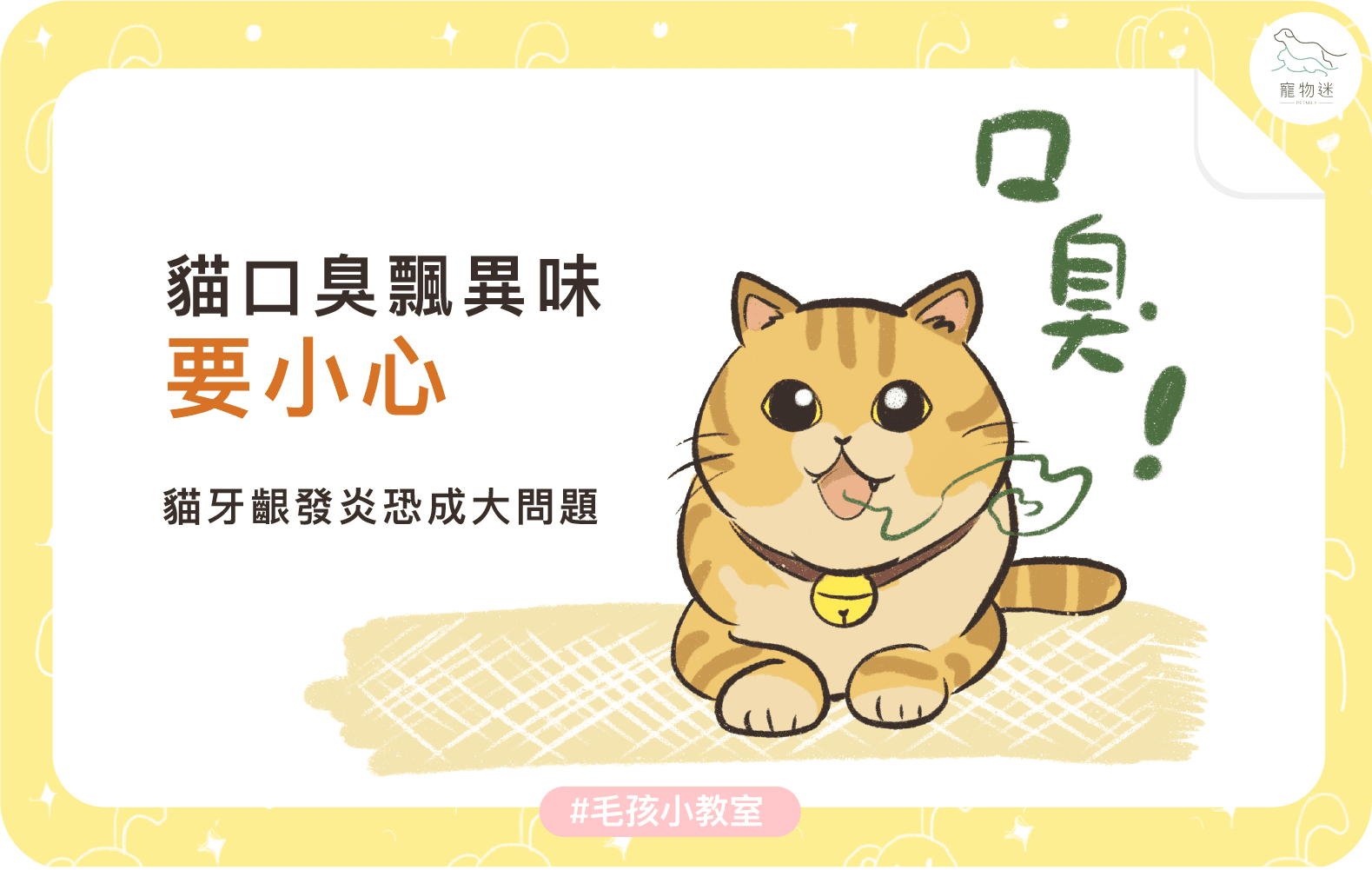 貓咪牙齦炎6大症狀＋5招日常預防，遠離口臭與不適！