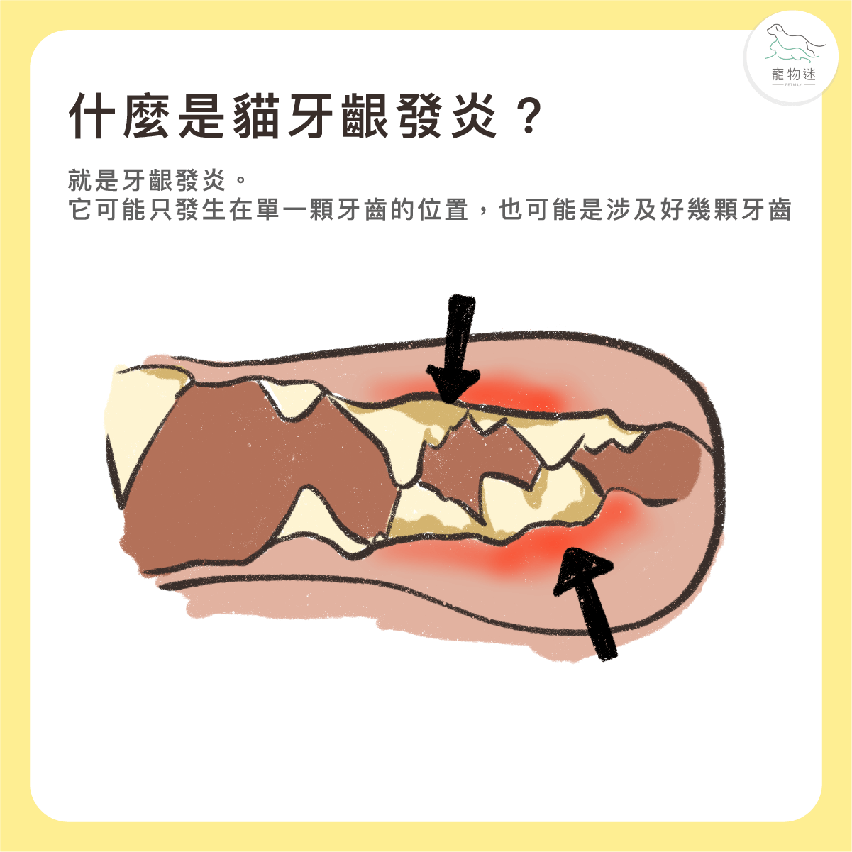 什麼是貓咪牙齦炎