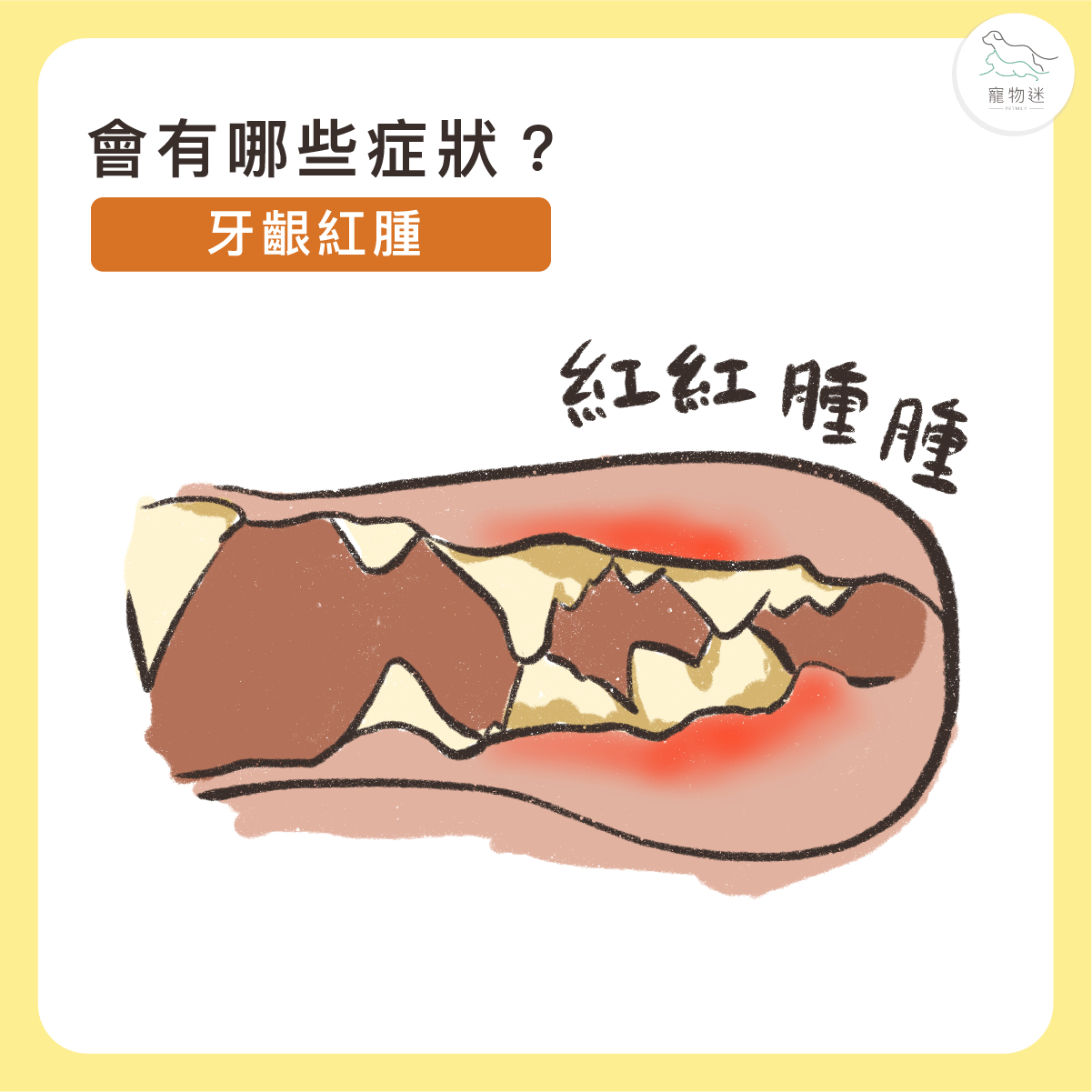 牙齦明顯紅腫