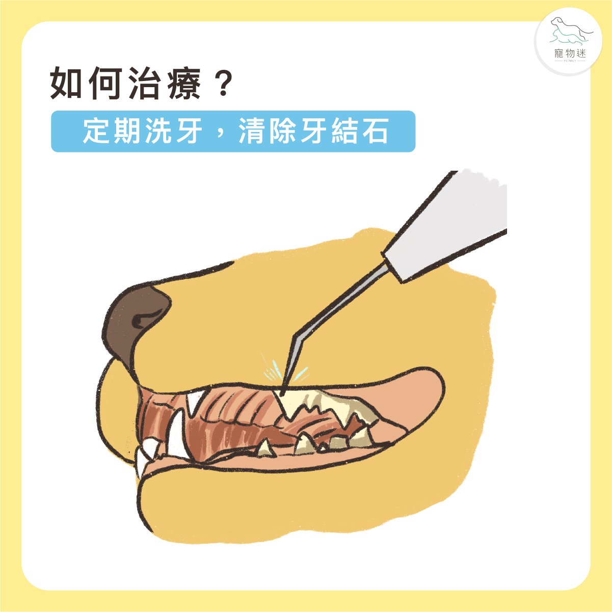 定期專業潔牙