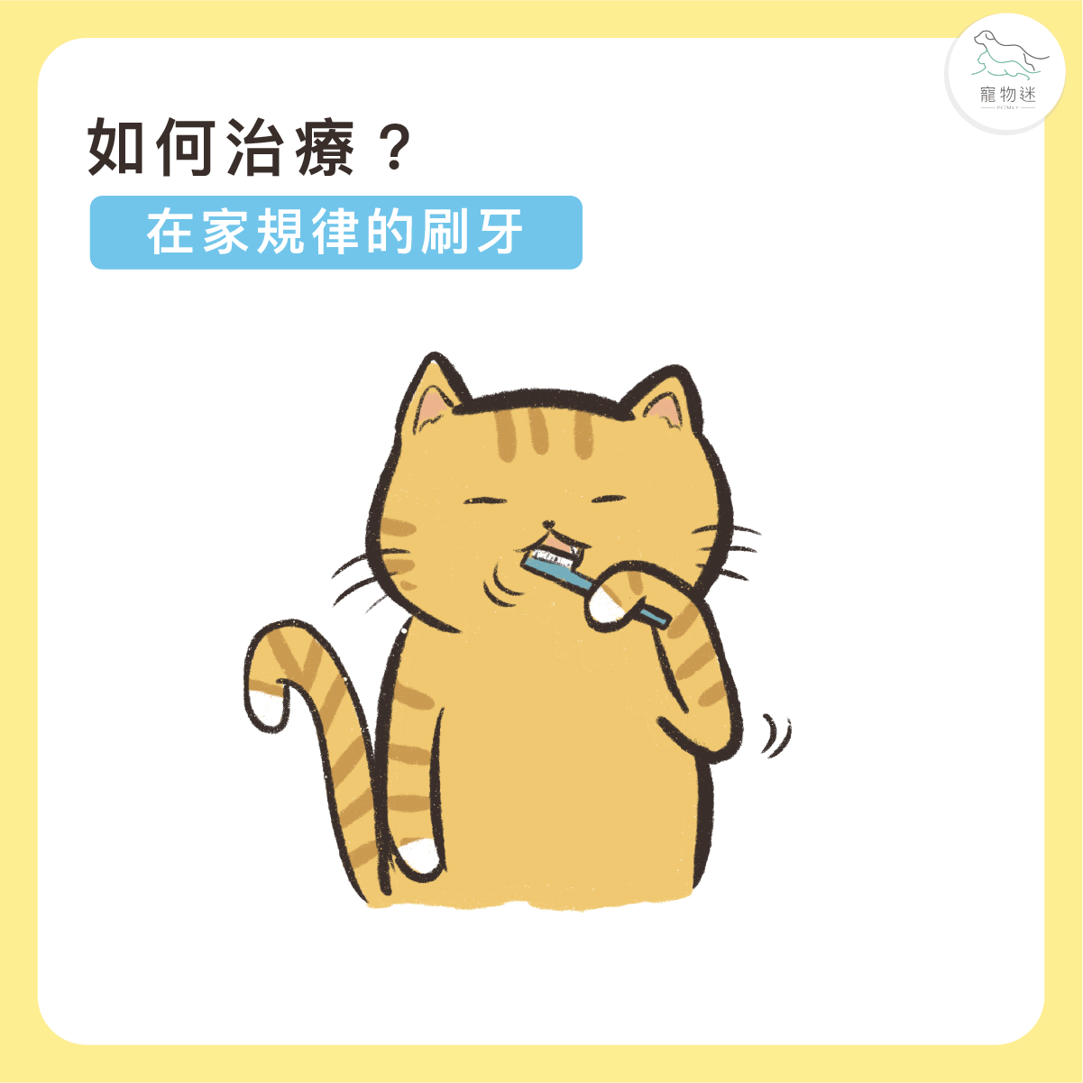 建立每日刷牙習慣