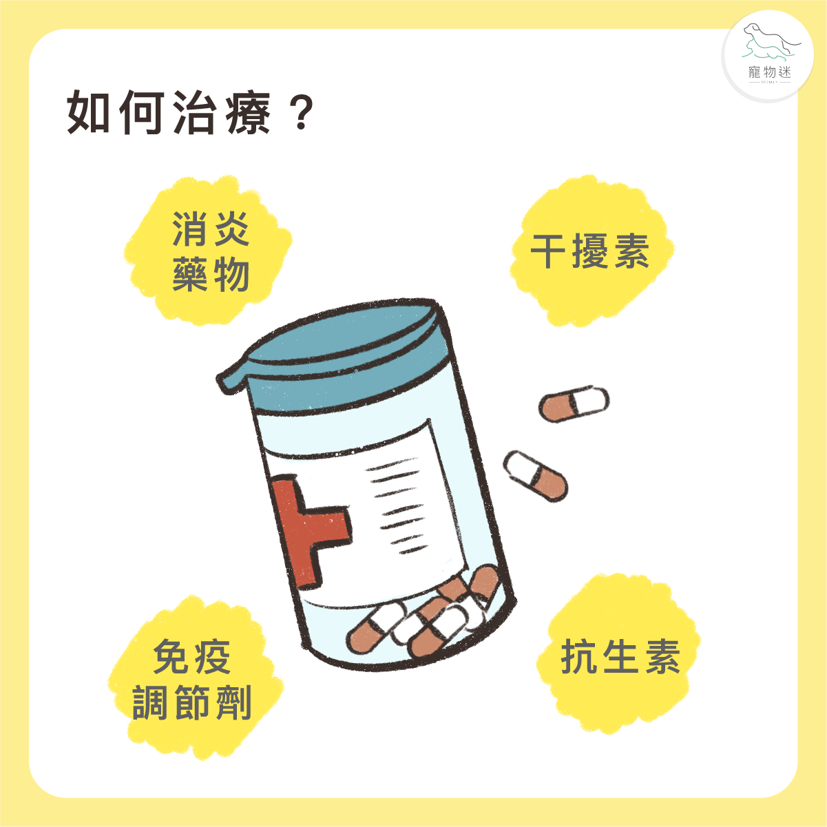 必要時輔以獸醫建議的營養補充或口腔配方