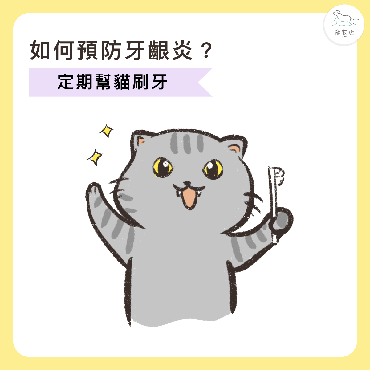 期幫貓咪清潔牙齒與牙齦