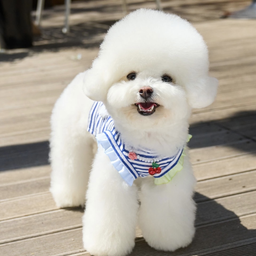 配件-糖果造型項鍊-(Cherry)櫻桃-Its_Sunnyoutside