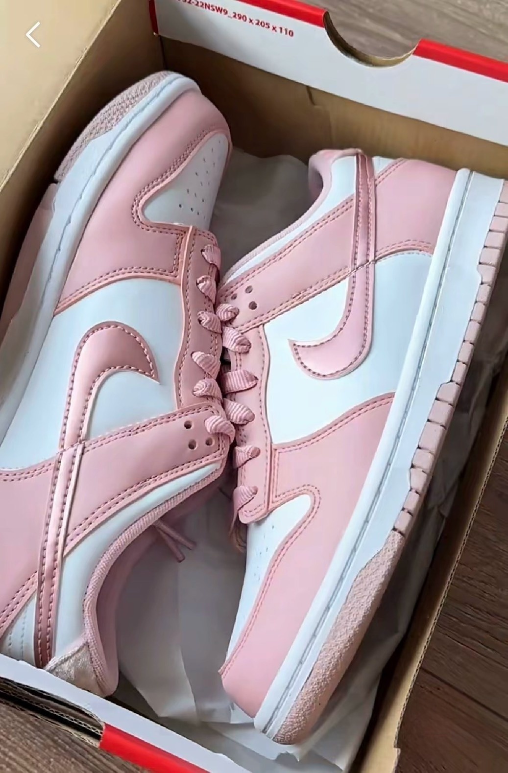 Nike Dunk Low Pink Velvet (GS) 櫻花粉 天鵝絨 DO6485-600