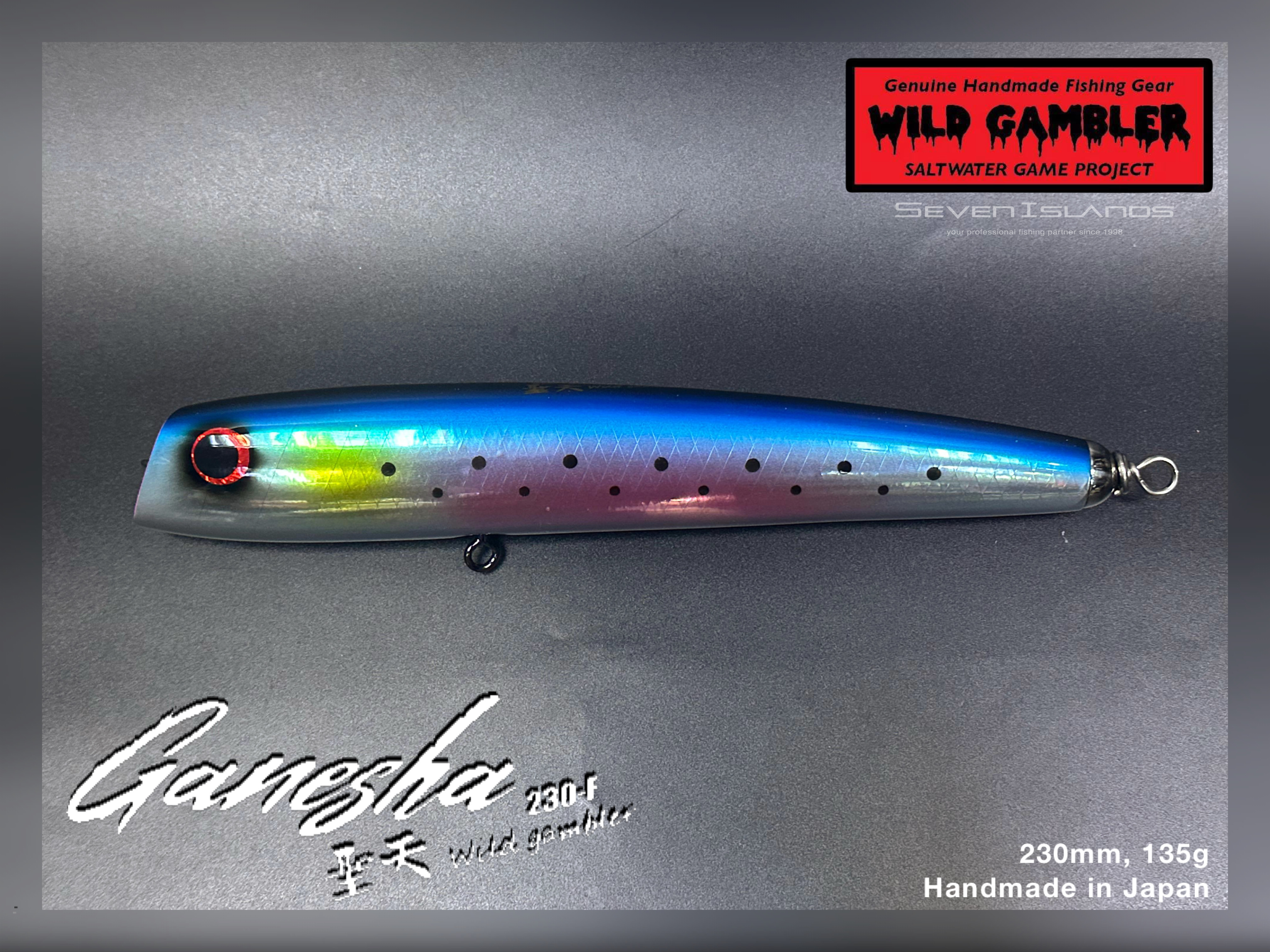 WILD GAMBLER Ganesha 230-F Swim Bait