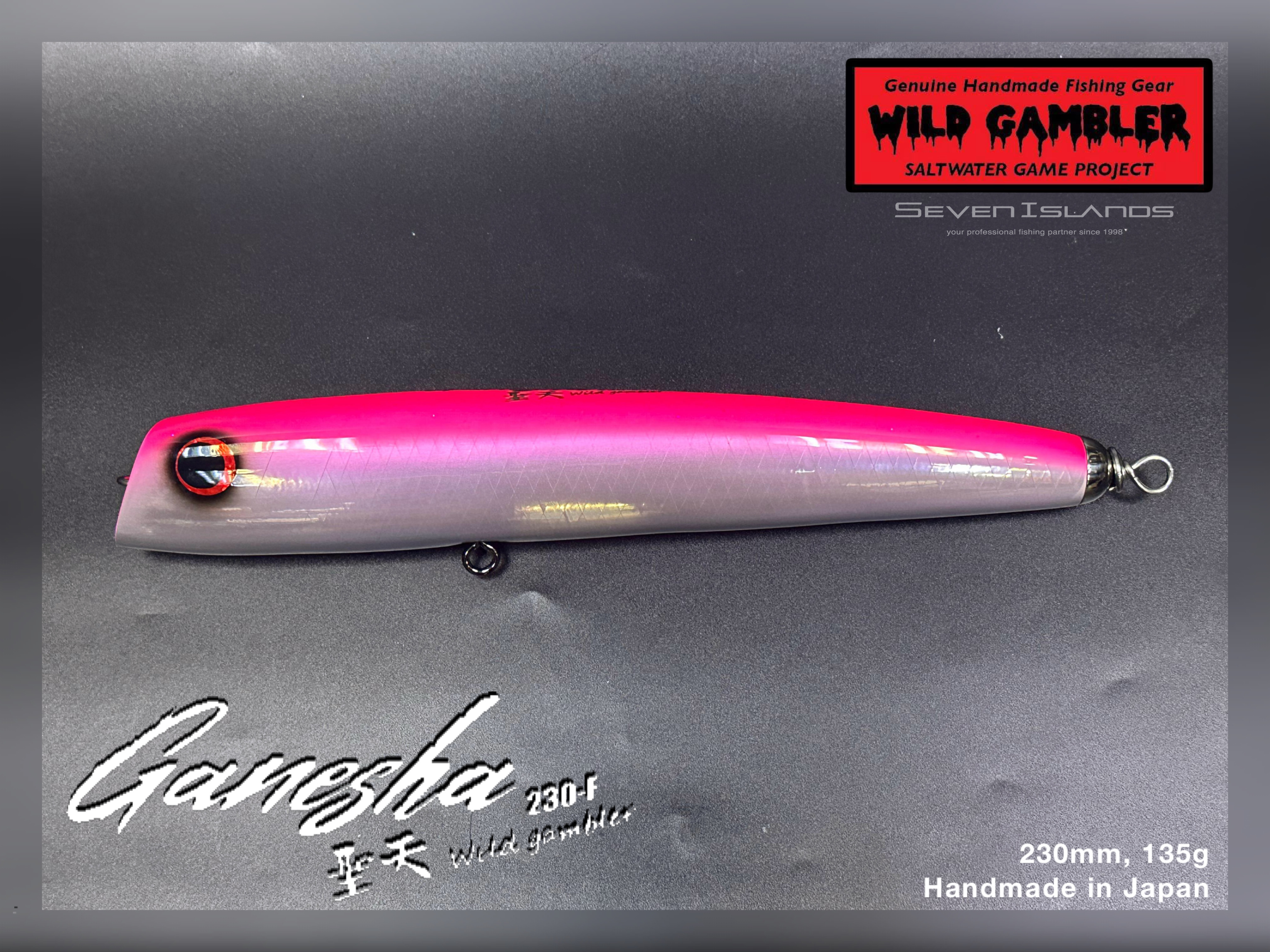 WILD GAMBLER Ganesha 230-F Swim Bait