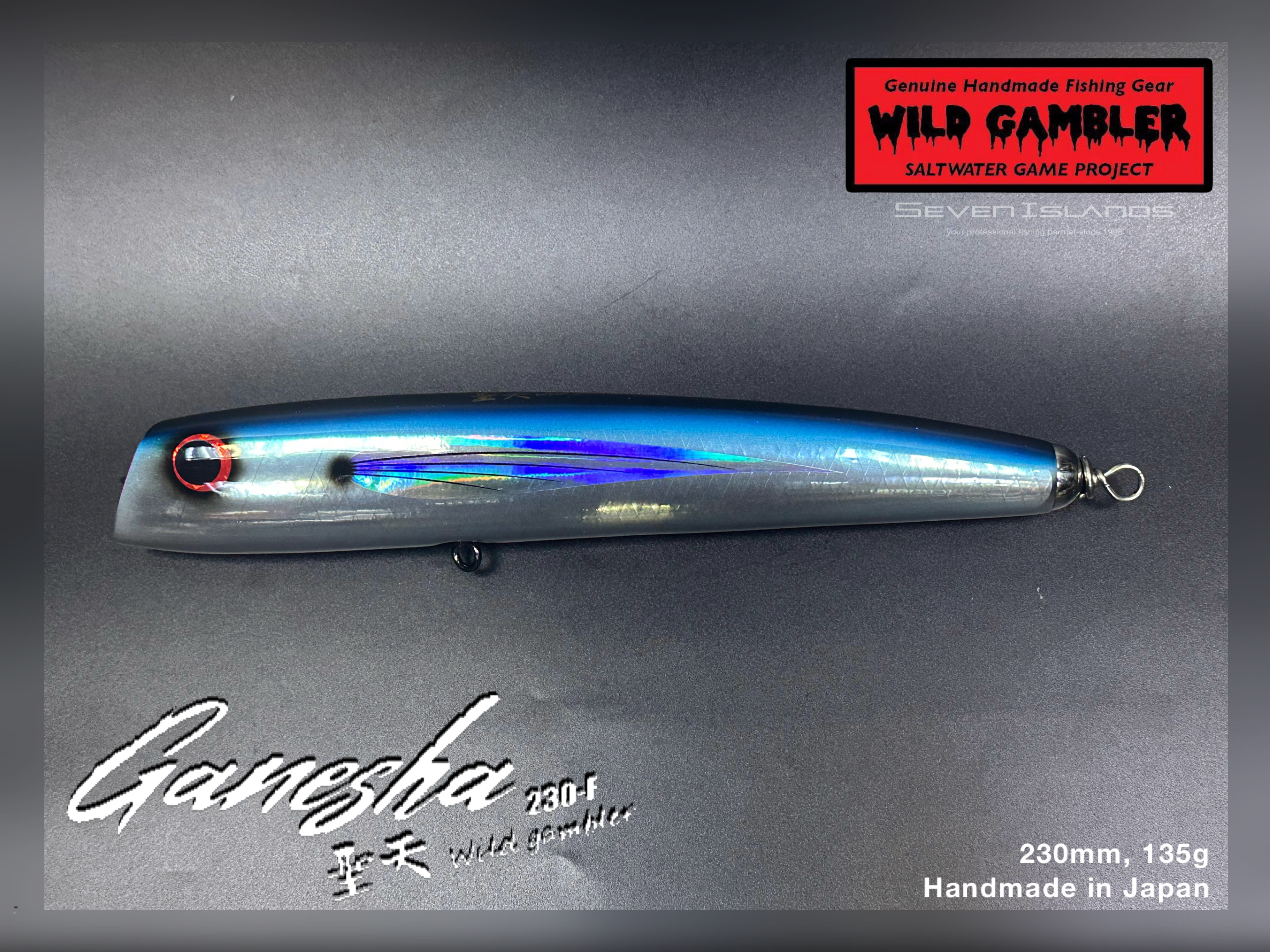 WILD GAMBLER Ganesha 230-F Swim Bait