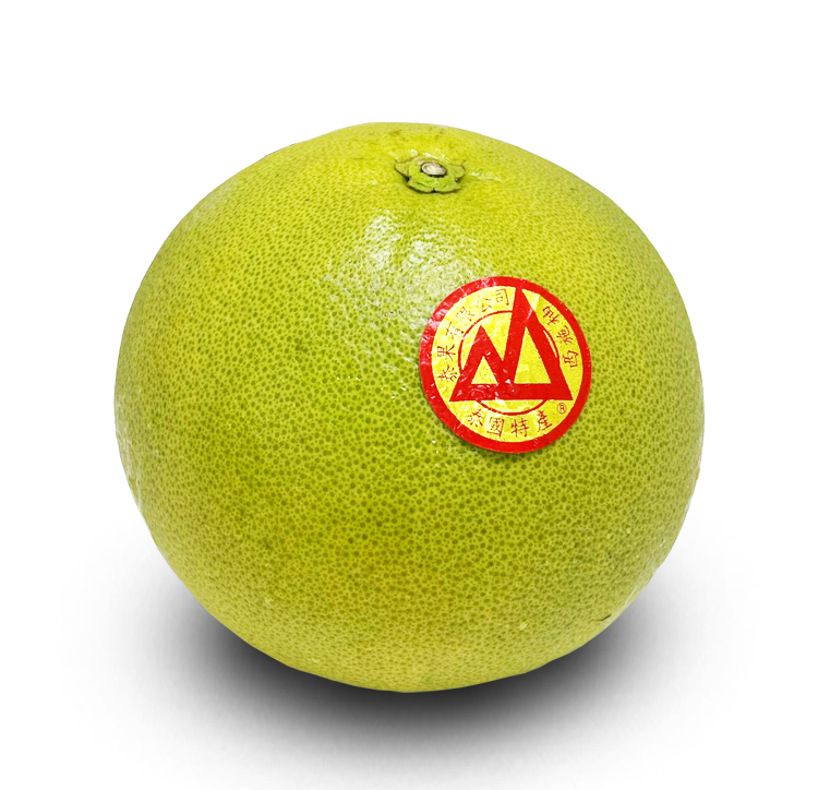 泰國 金柚 [ 1個 ]