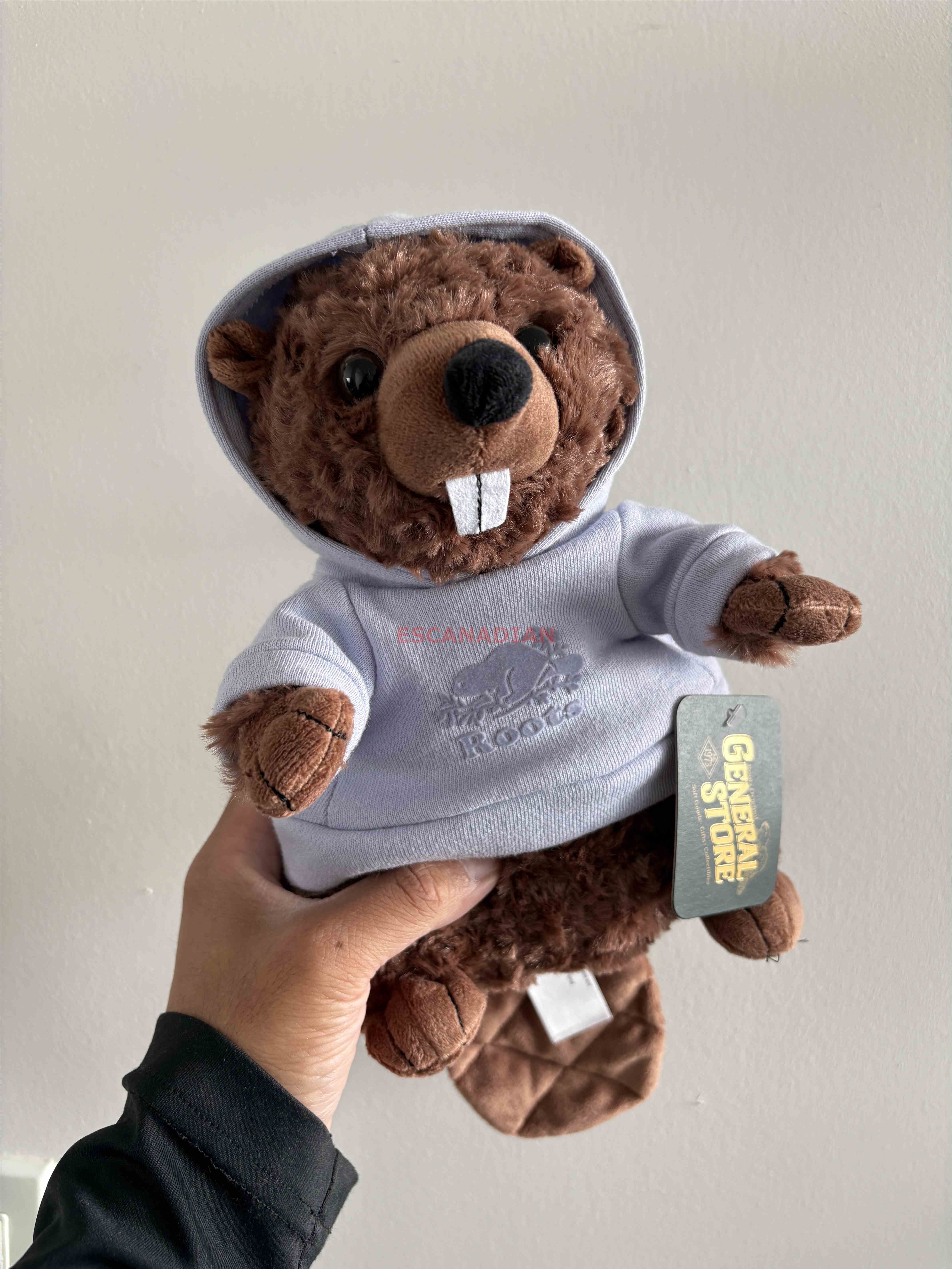 ROOTS 春裝配色 海狸寶寶 (2色)