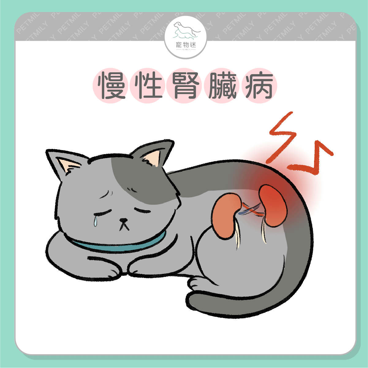 慢性腎臟病