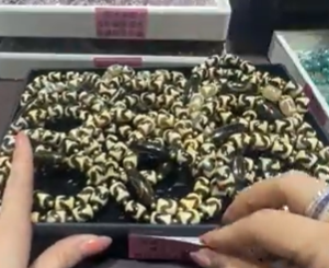 250816 - C3 西藏古法虎牙天珠手串