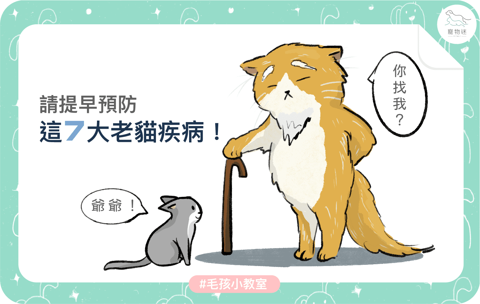 請提早預防這7大老貓疾病！