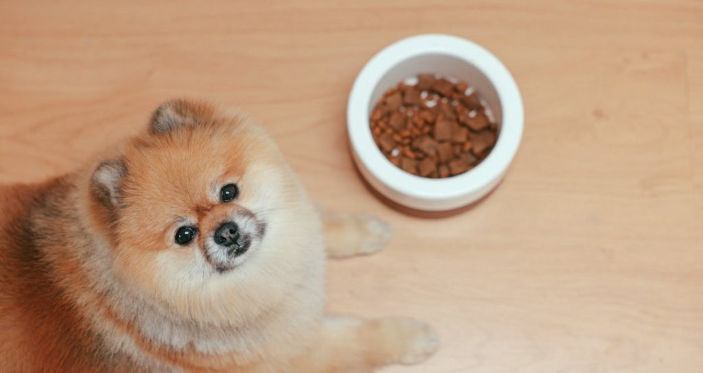 換飼料4步驟