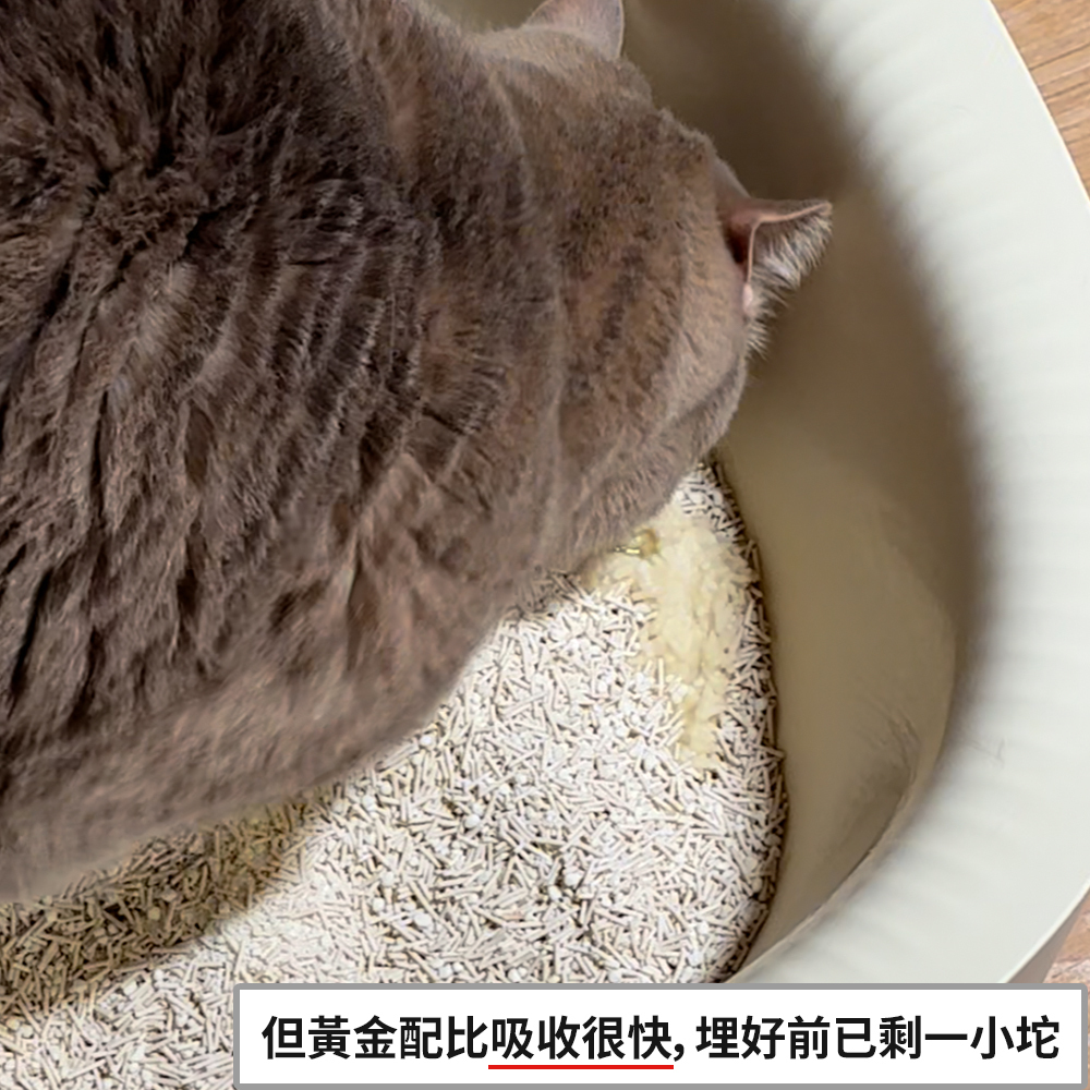 「步步清新」豆腐木薯混合貓砂實測：輕鬆鏟起大塊完整尿團，豆腐砂與木薯貓砂結合清潔方便