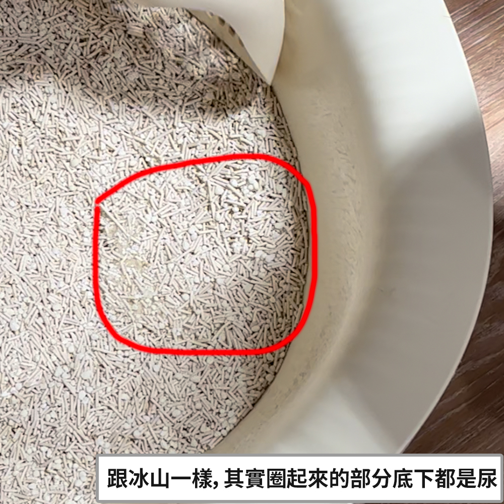 「步步清新」混合貓砂實測：凝結後的尿團結構堅固，木薯貓砂成分使其不易碎裂