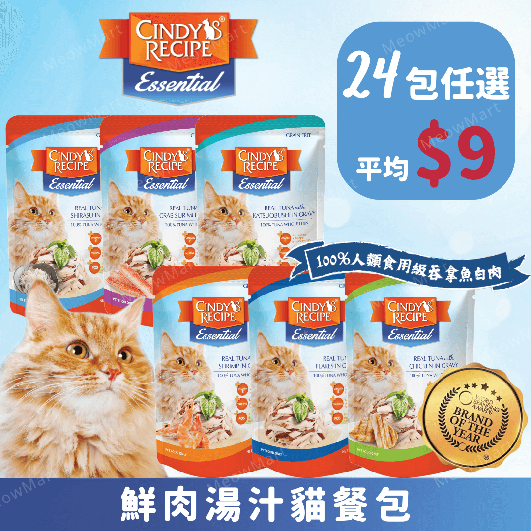 【任選24包】Cindy's Recipe® 鮮肉湯汁貓餐包 70g (平均$9)