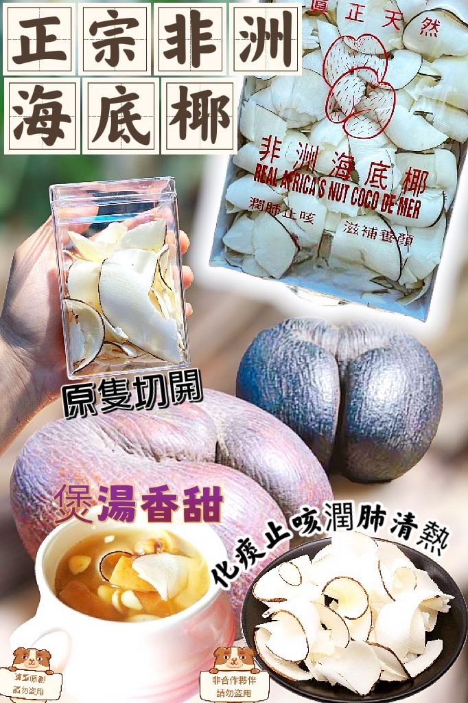 正宗海底椰片