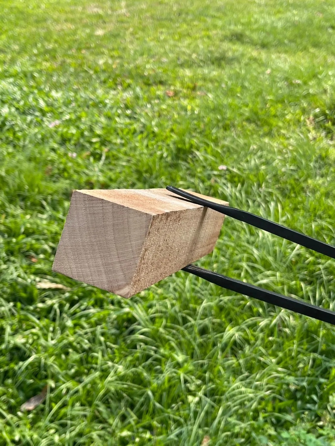 泰森兄妹 - 方細木【免劈材】