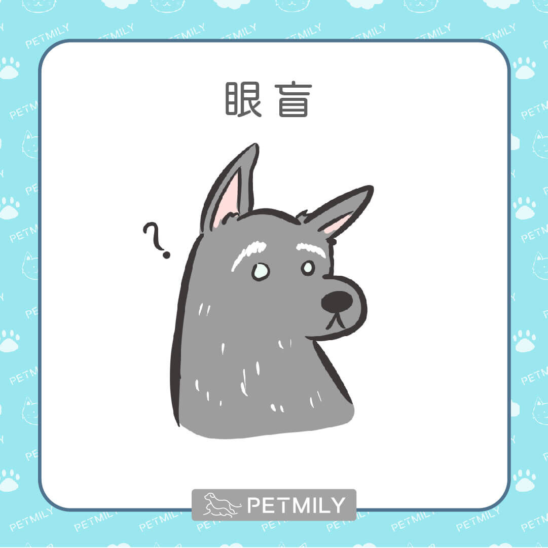 視力變差