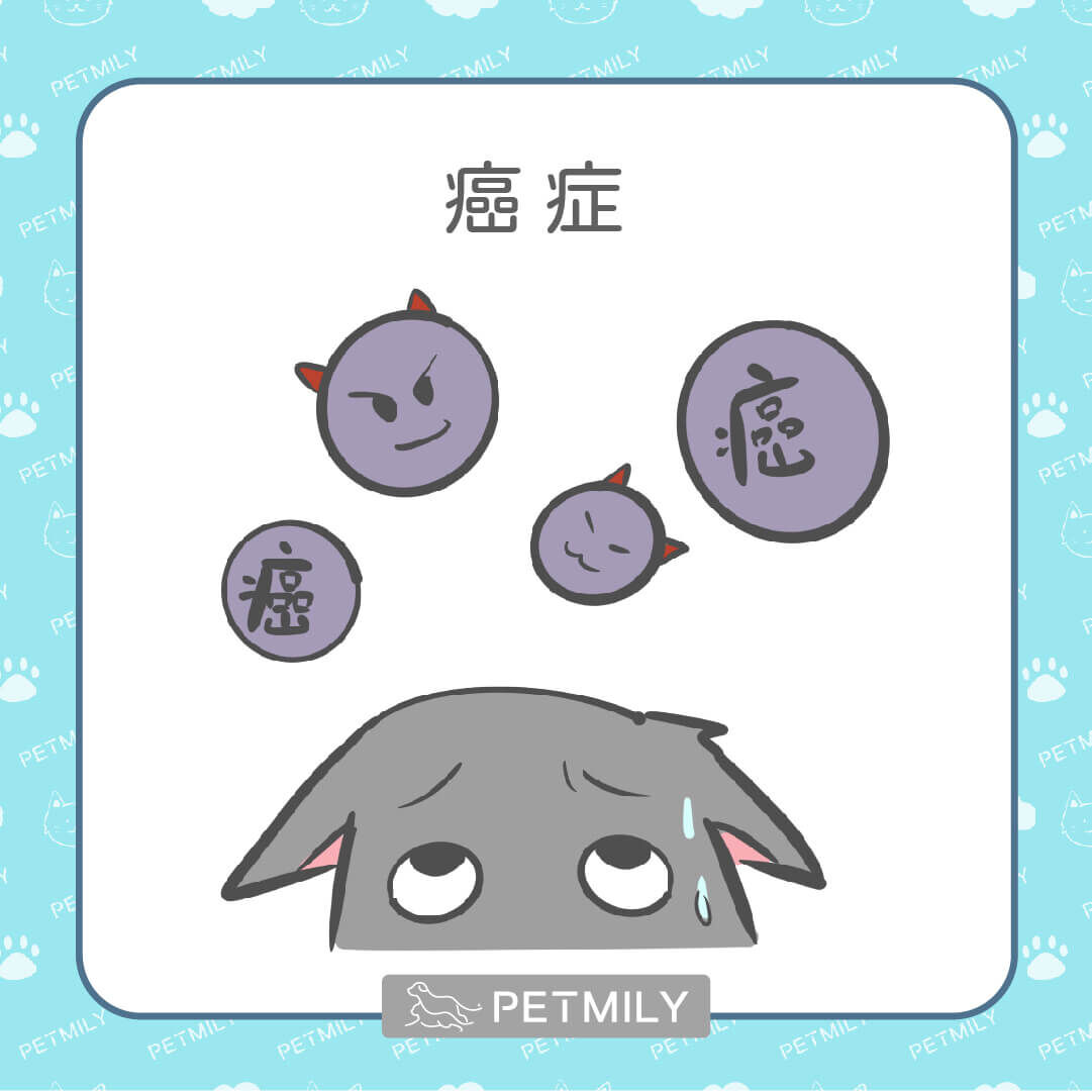 癌症（惡性腫瘤）風險提升